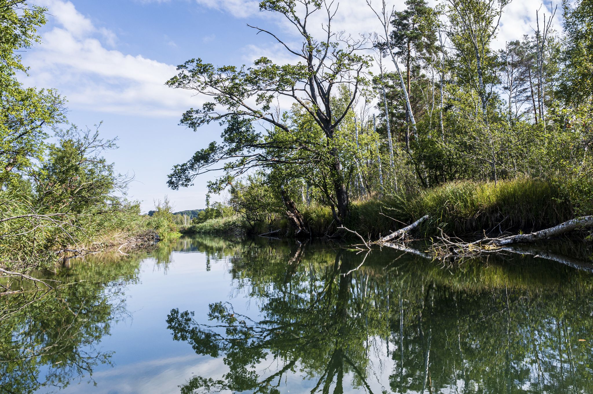 Kajaktour Leutstettner Moos 21.08.2022